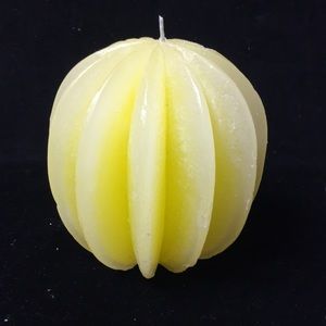Star Fruit Shape Wax Candle